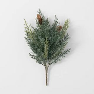 Frosted Arborvitae Bush