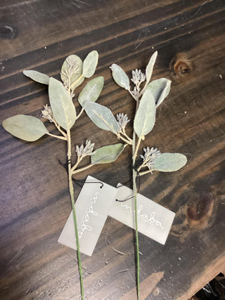 Eucalyptus stem/Sage 1-1663