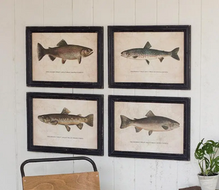 Trout Print Asst.