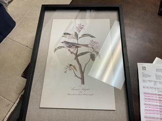 Bird & Botanical Print