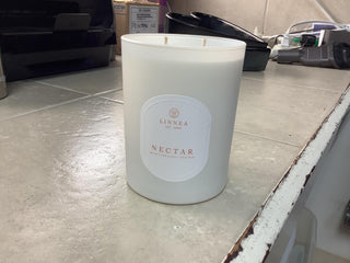 Garden 2-Wick Candle 11oz - dolly mama boutique