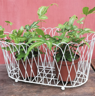French Wire Oval Planter Basket