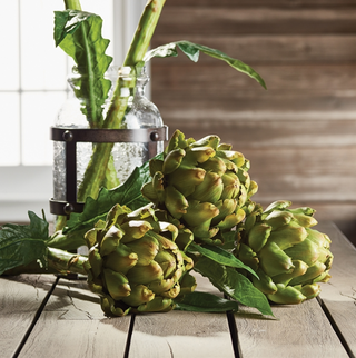 Artichoke Stem CC212 - dolly mama boutique