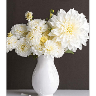 “Dahlias: Beautiful Varieties for Home & Garden” Book - dolly mama boutique