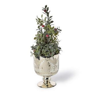 Mercury Glass Cachepot