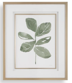 Fiddle Head Leaf Framed Prints