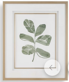 Fiddle Head Leaf Framed Prints