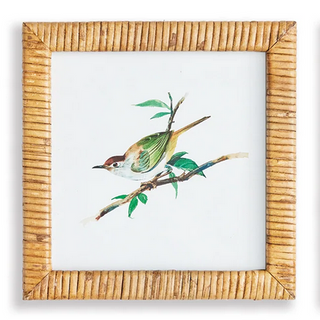 Songbird Petite Prints