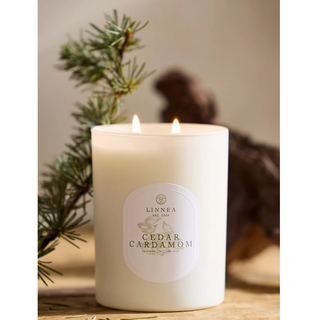Cedar Cardamom Boxed Candle - dolly mama boutique