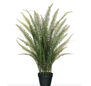 Potted Fern 0599POT - dolly mama boutique