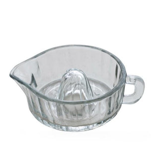 Glass Juicer with Handle