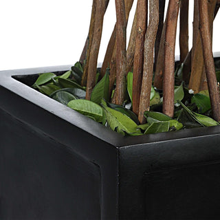 Preserved Boxwood Topiary 60188 - dolly mama boutique