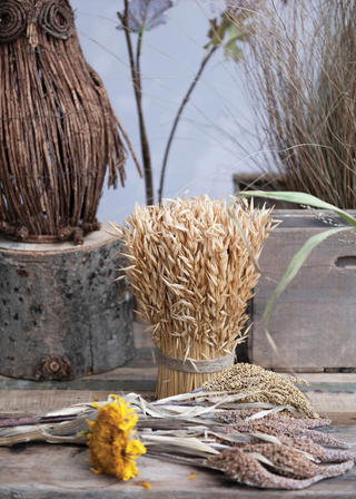 Dried Harvest Grass Standing Bundle