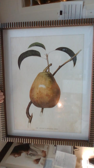 Gold Framed Pear Prints