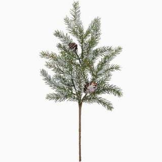 White Spruce Pick
