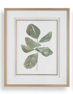 Fiddle Head Leaf Framed Prints