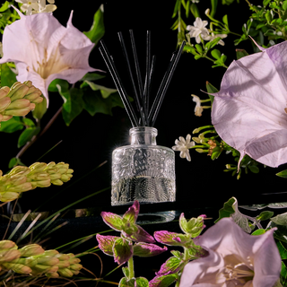 Jasmine Midnight Blooms Diffuser - dolly mama boutique