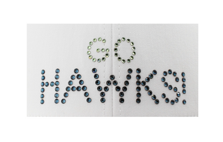 Kourtney Trucker Hat with Crystal Seahawks "GO HAWKS!" - dolly mama boutique