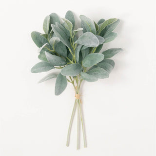 Lambs Ear Bundle 02485BNDL