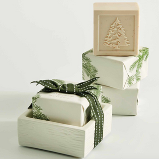 Frasier Fir Bar Soap & Dish Set