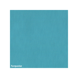 Plain Jane Visor - dolly mama boutique