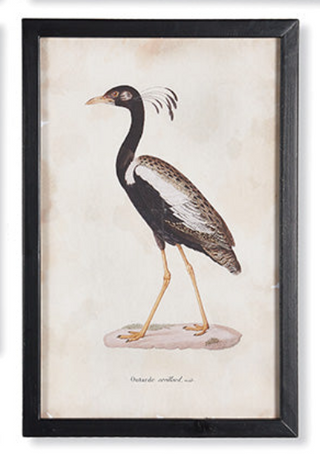 Framed Waterfowl Prints - dolly mama boutique