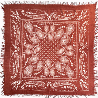 Cashmere Paisley Scarf - dolly mama boutique