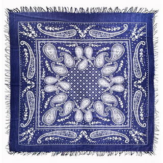 Cashmere Paisley Scarf - dolly mama boutique