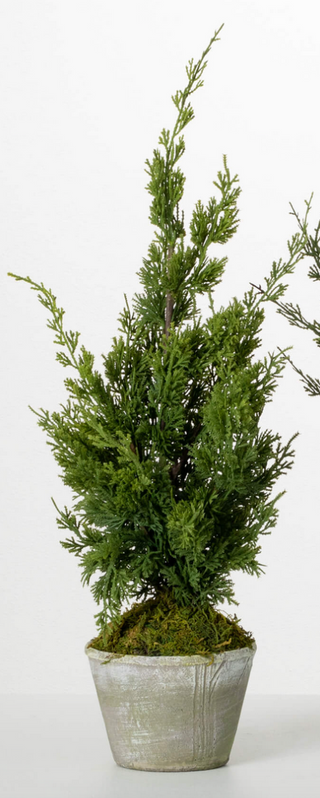 Faux Mini Cedar Tree - dolly mama boutique