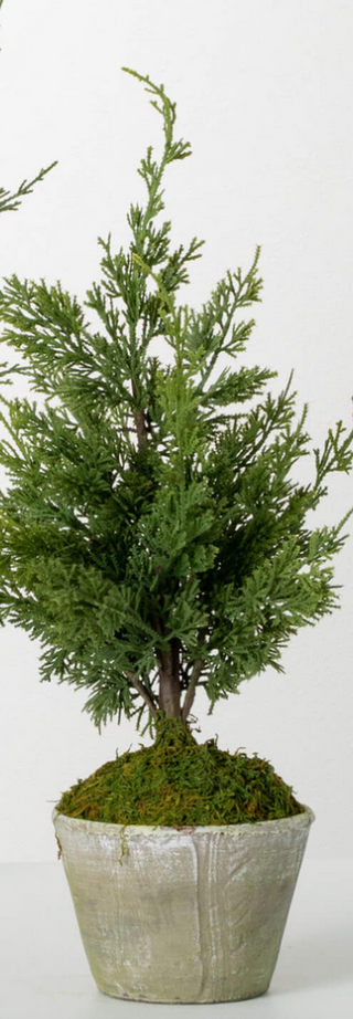 Faux Mini Cedar Tree - dolly mama boutique