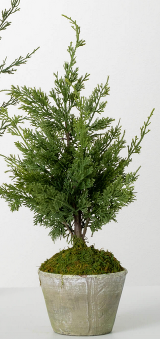 Faux Mini Cedar Tree - dolly mama boutique