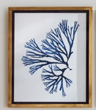 Indigo Seaweed Prints - dolly mama boutique