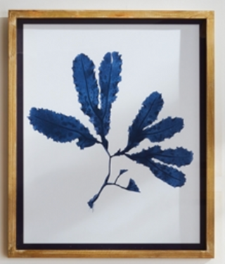 Indigo Seaweed Prints - dolly mama boutique