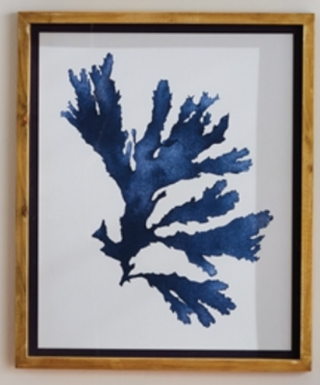 Indigo Seaweed Prints - dolly mama boutique