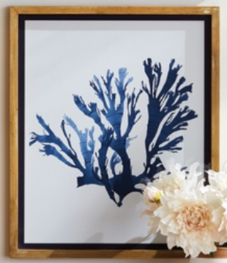 Indigo Seaweed Prints - dolly mama boutique