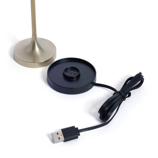 Reed Touch Table Lamp in Gold - view 4