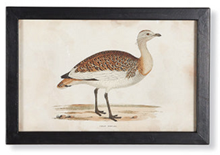 Framed Waterfowl Prints - dolly mama boutique