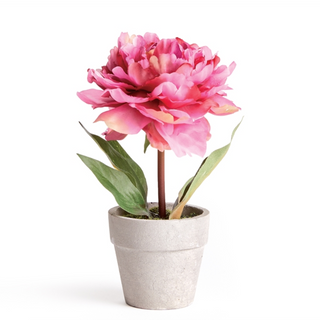 Mini Potted Peony - Dark Pink - dolly mama boutique