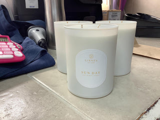 Garden 2-Wick Candle 11oz - dolly mama boutique