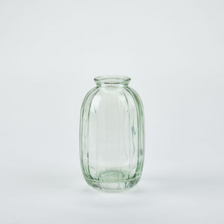 Optic Bud Vases - Curved