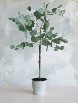 Faux Potted Eucalyptus - dolly mama boutique