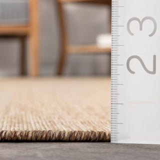 Nakia Natural Area Rug 4x6