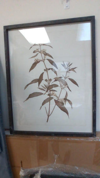 Wood Framed Botanicals 27.5"
