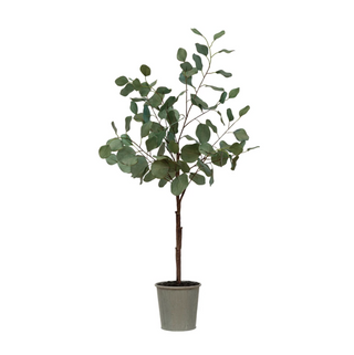 Faux Potted Eucalyptus DF6422 - dolly mama boutique