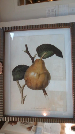Gold Framed Pear Prints