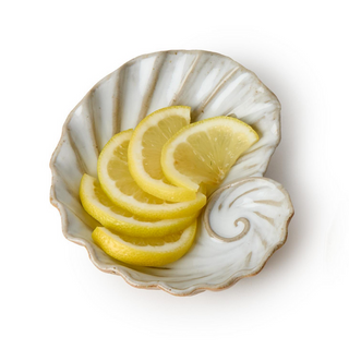 Shell Tidbit Dishes - dolly mama boutique
