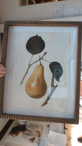 Gold Framed Pear Prints