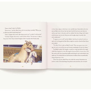 “The Classic Tale of the Velveteen Rabbit” Book