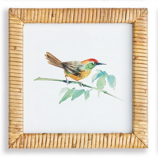 Songbird Petite Prints