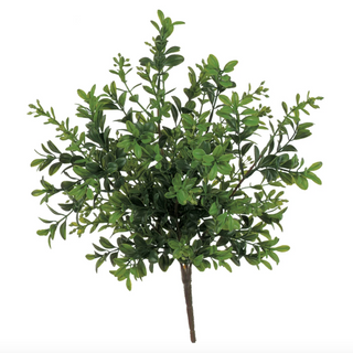 Boxwood Pick